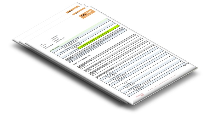 Amicus AML Report